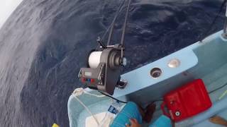 Lindgren Pitman s1200 Electric Reel Big Red Grouper [upl. by Nae]