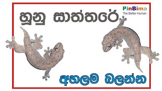 Hunan Angata Vetime Palapala හූනන් ඇඟට වැටීමේ පලාපල [upl. by Ailet]