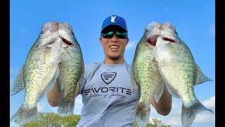 Just A Little Crappie Catching Mission Lake Lewisville [upl. by Yhtorod833]