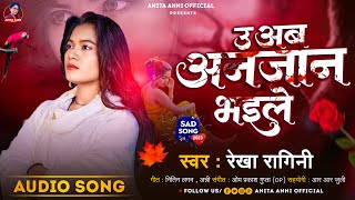 AUDIO  उ अब अनजान भईले Rekha Ragini  U Ab Anjan Bhaile  Bhojpuri Sad Song 2023 [upl. by Odnumyer]