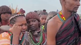 marriage in hamer tribe tribalmarriage [upl. by Gilud]