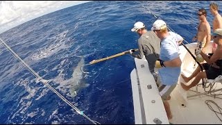 Big Game Fishing Mauritius  Soudan Bank 2014 [upl. by Haff]