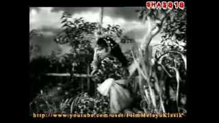 Lanchang Kuning 1962  Full Movie [upl. by Ayita]