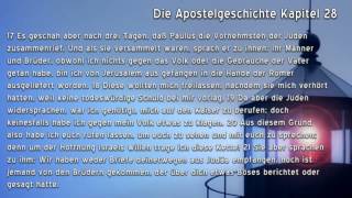 Die Apostelgeschichte Kapitel 28 [upl. by Nahtanaj]