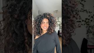 defined curls curlyhair fingercoil krullen curlyhair curlyhairproducts fy viralvideos [upl. by Fabriane780]