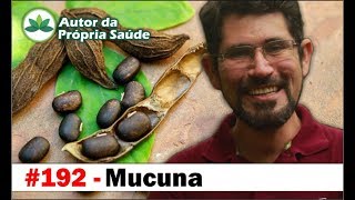 Autor da Própria Saúde  Mucuna Parkinson disfunção erétil infertilidade diabetes [upl. by Anaeco676]