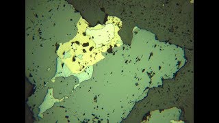 Sphalerite  ore microscope  Geology [upl. by Erdied640]