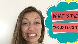 What is the Mucus Plug [upl. by Aleit840]