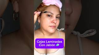 Cejas Laminadas con jabón 🧼 cejas cejaslaminadas makeuptips [upl. by Suivatco]