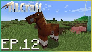 RLCraft in 2024 EPISODE 12 [upl. by Naimaj]