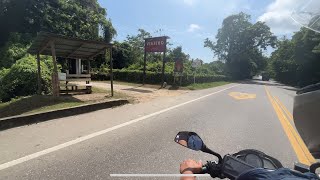 El mejor hostal del TAYRONA  Viajero Hostel 🏖️☀️ [upl. by Clair]