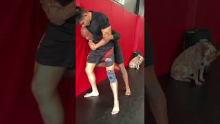 Breaking Free How to defend a headlock pin against the wall jiujitsu police bjjcops bjj [upl. by Sasha]