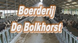 Nieuwe stal Bolkhorst Teuge met drie melkrobots [upl. by Noyek]