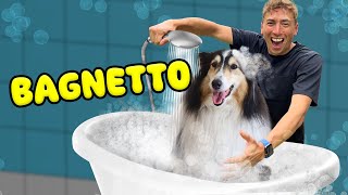 FACCIO IL BAGNO SELF SERVICE AL MIO CANE MERY un disastro [upl. by Htebazie]