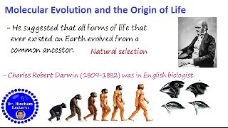 Origin of Life Molecular Evolution and rise of living system [upl. by Ynar]