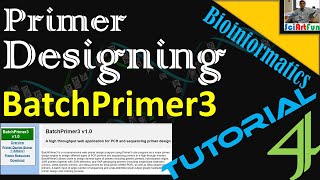 Primer Designing  Generic Primer Design Using BatchPrimer3  Tutorial 4 [upl. by Yraeht]