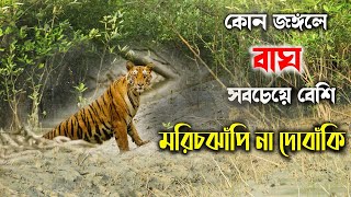 বাঘের জঙ্গলে বাঘ অনেক বেড়েছে  sundarban tiger Forest  Bengal tiger  sundarban jungle safari [upl. by Airetal]