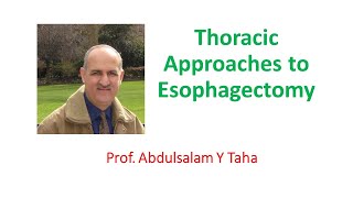 Thoracic Approaches to Esophagectomy [upl. by Ritch]