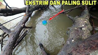 PALING MENANTANG AKARPOHON ROBOH INI JADI TEMPAT PERSEMBUNYIAN IKAN YANG PALING NYAMAN [upl. by Nytnerb]