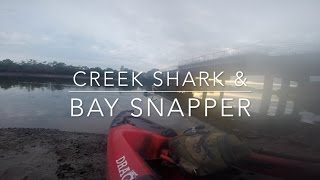 Tingalpa Creek Shark and Wellington Point Snapper Fishing On Dragon Kayak [upl. by Walt]