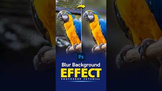 Photoshop 2024 Blurring Backgrounds Made EASY [upl. by Salomi]