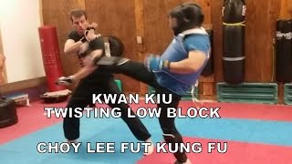 Kung Fu Choy Lee Fut Twisting Low Block [upl. by Berte145]