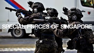 Special Forces of Singapore  Special Operations Task Force [upl. by Karney590]