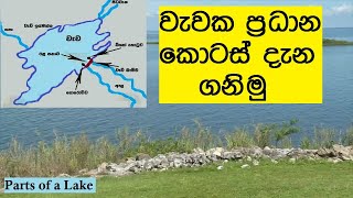 වැවක කොටස් kotasවැවක කොටස් වැවක ප්‍රධාන කොටස් Parts of a lakewewaka pradana anga [upl. by Lusar767]