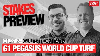 TFUS Grade 1 Pegasus World Cup Turf Preview  January 27 2024 [upl. by Terrye323]