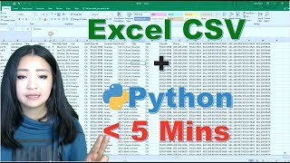 Working with CSV Files in Python for Beginners 2019 [upl. by Ylimme]