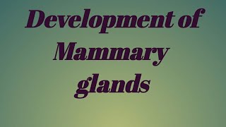 Development of mammary glands [upl. by Etiam]