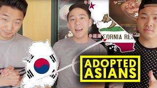 11 THINGS ABOUT ASIAN ADOPTEES w DanAKADan  Fung Bros [upl. by Kavanagh83]