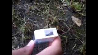 comment faire un piege a fourmis parti 1 [upl. by Alban]