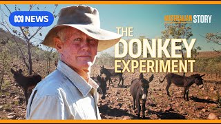 The maverick outback grazier using donkeys to regenerate his land  Australian Story [upl. by Hertha]