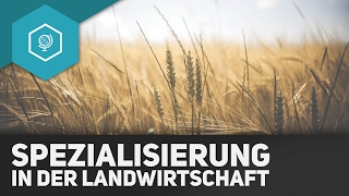 Spezialisierung in der Landwirtschaft  Landwirtschaft in Industrieländern 8 [upl. by Bonnee]