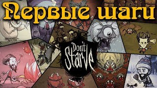 Гайд по Dont Starve 1 Первые шаги [upl. by Rickey]