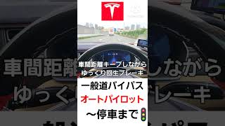 オートパイロットテスラ 自動運転 レベル2 [upl. by Ramalahs]