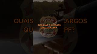 QUAIS OS CARGOS DA POLÍCIA FEDERAL [upl. by Eirehs]