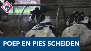 Nieuwkoopse boeren verhuren stikstofruimte aan de industrie OMROEP WEST [upl. by Annairoc]