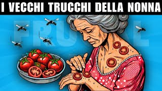 29 Segreti della Nonna Che Ti Faranno Risparmiare Tempo [upl. by Mariano]