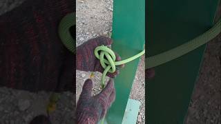 BOWLINE KNOT fyp shortvideo shorts howtotie knottying hitchknot knotskills [upl. by Nilyad]