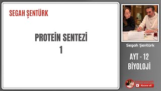 Genden Proteine  Protein Sentezi Part 1  AYT BİYOLOJİ  12SINIF  YKS 2025 [upl. by Bergman]