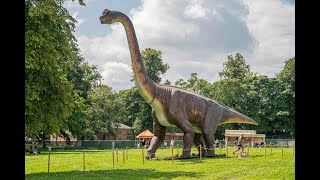 Dinosaurs in the Park  Manchester Heaton Park [upl. by Gnni117]