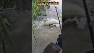 Big Fish Caught 🎣 Exciting Wild Fishing FishingAdventure WildFishing [upl. by Fancie]