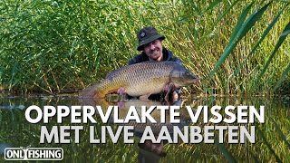 🎥 Live aanbeten van de oppervlakte  Oppervlakte vissen op Karper [upl. by Birmingham]