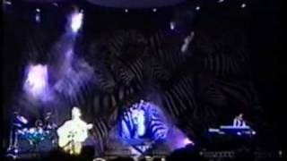 Pooh  Diritto damare  Live 1997 [upl. by Falo]