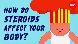 How do steroids affect your muscles— and the rest of your body  Anees Bahji [upl. by Nettirb930]