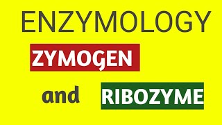 ENZYMOLOGYZYMOGEN AND RIBOZYME [upl. by Aneel]