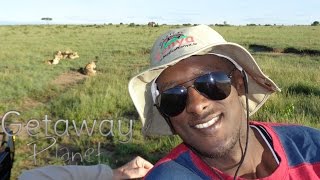 Maasai Mara National Reserve  Travel Vlog [upl. by Ayihsa]