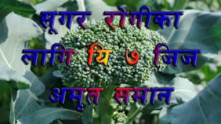 सुगर रोगीका लागि यी सात चिज अमृत सरह सबैले जानी राखौ7 Foods For Sugar Pations [upl. by Birkner]